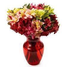 We deliver in bucharest and 24h in the country. Mixed Alstroemeria Bouquet At Send Flowers