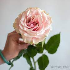 Shop more products from littlepinko on storenvy, the home of independent small businesses all over the world. Pin On Wedding Flowers