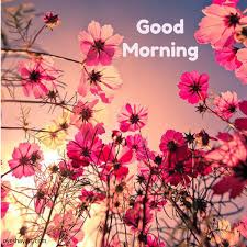 Most beautiful flowers good morning images. Good Morning Beautiful Flowers Pictures Sinhala21 Blogspot Com