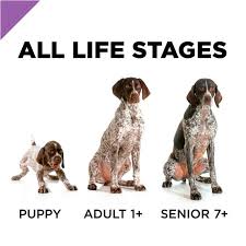 Here are eight purina pro plan dog foods in this pro plan dog food review to give you a detailed view of the best dog foods before you purchase. Purina Pro Plan Sport All Life Stages Performance 30 20 Formula Dry Do Az Pet Foods
