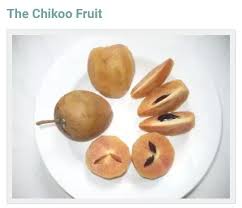 Maybe you would like to learn more about one of these? What Is Chikoo Called In English Quora