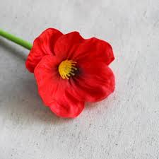 Vous y trouverez les meilleures pièces uniques ou personnalisées de nos boutiques. Vegetaux Artificiels Hinter Lot De 10 Fleurs De Coquelicots En Latex Artificielles En Soie Au Toucher Realiste Pour Bouquet De Mariee Ou De Fete Cuisine Maison Kenyatimes Co Ke