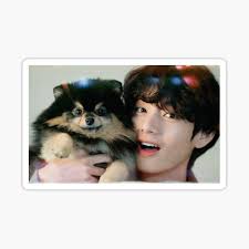 Browse our collection of interior design ideas at tilecloud. Yeontan Gifts Merchandise Redbubble