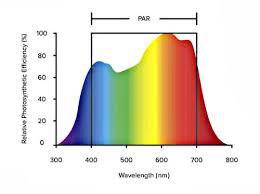 Red light spectrumred light spectrum. Led Grow Lights Getting The Right Color Spectrum Garden Myths
