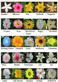 Maybe you would like to learn more about one of these? Average Classification Accuracies Obtained For 5 Trials A 40 Download Scientific Diagram