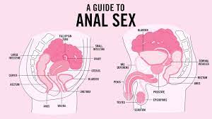 Anal fuck guide