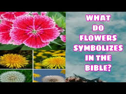 Below is a list of plants that are mentioned in the bible. What Do Flowers Symbolizes In The Bible What Is The Flower Of God Marilyn S Journey Youtube