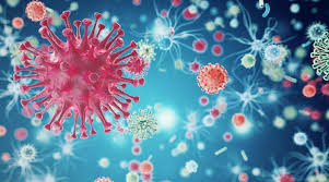 A szervező bizottság most arra kéri a szurkolókat. Tajekoztatas Ii Covid 19 Koronavirus Szvmszk