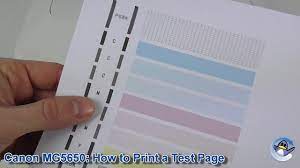 Check spelling or type a new query. Canon Pixma Mg5650 How To Print A Nozzle Check Test Page Youtube
