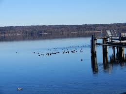 Ideal Fur Eine Umrundung Mit Dem Fahrrad Starnberger See Starnberg Reisebewertungen Tripadvisor