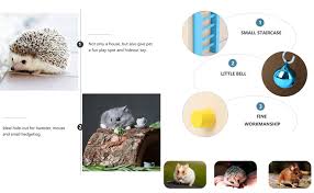 To join, people need only to change their tiktok avatar to the picture of the staring hamster. Amazon Com Kathson Pet Small Animal Hideout Hamster House With Funny Climbing Ladder Slide Wooden Hut Play Toys Chews For Small Animals Like Dwarf Hamster And Mouse Blue Pet Supplies