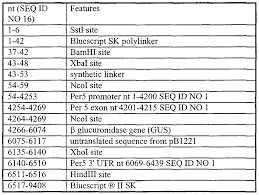 Program induksi guru pemula pigp dr lugtyastyono bn m pd. Wo1998056921a1 Regulatory Sequences For Transgenic Plants Google Patents