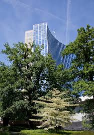 Many species of plants are section 41 priority species but aren't eps or protected by the wildlife and countryside act 1981. International Union For The Protection Of New Varieties Of Plants Wikipedia