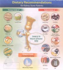 Dietary Guidelines For Kidney Stone Patients Devasya