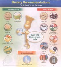 dietary guidelines for kidney stone patients devasya