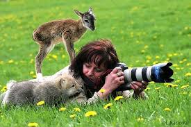 Epingle Sur Astuces Photographie