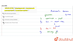 Which Of The Following Is Not A Function Of Parasympatheitc Nervous System Youtube
