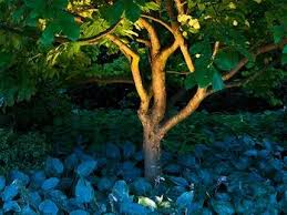 Gartenbeleuchtung Lichter Und Lampen Gartenbeleuchtung Garten Beleuchtung