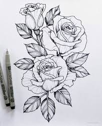 Schneiden sie ein jpg, png oder gif nach belieben zu. 1001 Ideen Und Inspirationen Fur Schone Bilder Zum Nachmalen Rosen Zeichnen Blumenzeichnung Rosenzeichnungen