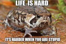 Grumpy Toad Meme - Imgflip