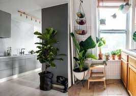 Es mejor en estos caso, si puede. 17 Ideas Practicas Para Decorar La Cocina Con Plantas Y Darle Un Estilo Unico