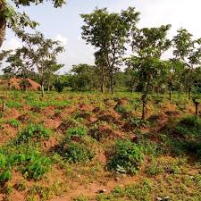 Airport community outreach plan update: Anambra Airport City Cargo Airport Anambra Nigeria Ejatlas