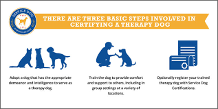 What do therapy dogs practice? How To Certify A Therapy Dog Service Dog Certifications