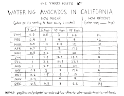 The avocado is an evergreen tree in the lauraceae family. Avocado Calendar 2021 Greg Alder S Yard Posts Southern California Food Gardening