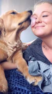 Any advice for a pet with an upset tummy?