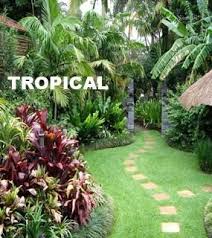 Pin By Tom Hartshorne On Gods Creation 3 Tropical Garden Design Small Tropical Gardens Tropical Landscaping