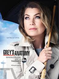 Liste de touts les liens streaming 50 views. Grey S Anatomy Season 12 Poster Sunny Forecast For Widow Meredith Greys Anatomy Season Greys Anatomy Grays Anatomy Tv
