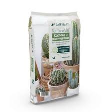 10 graines monilaria moniliforme, jardin des plantes grasses, des mignons de plantes succulentes, exotiques rares succulentes plantes à fleurs graines, idée cadeau de décoration cactus. Terreau Terre De Vie Pour Cactees Et Succulentes Sac De 5 Litres Truffaut