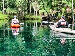 The only thing keeping this trip from being the perfect river run is that swimming is prohibited in the clear water. Silver Springs State Park A Great Place For A Kayaking Tour In Florida