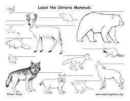 Christmas coloring pages 40 printable christmas coloring | etsy. Canadian Province Ontario