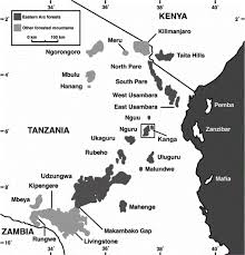 Image result for Ipomoea shupangensis