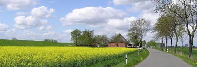 Wilster ist eine kleinstadt zwischen itzehoe und brunsbüttel. Stadt Wilster Amt Stadt Amt Wilstermarsch