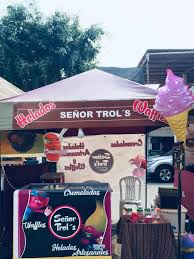 Helados Artesanales Señor Trol's