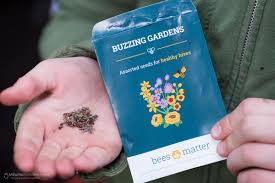Free wildflower seeds from arm & hammer. Buzzing Gardens Free Flower Seeds From Bees Matter
