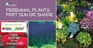 Perennial Garden Plans For Partial Sun Or Shade Pretty Purple Door Perennial Garden Plans Garden Planning Perennial Garden