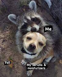 Fall Skincare In 2020 Funny Animal Memes Animals Weird Animals