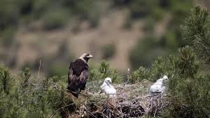 Kassandra porno imagine how youve thought about that