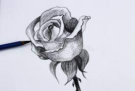 I disegni a matita sono una forma artistica dal fascino unico. 113 Disegno Matita I Dei Fiori Foto Foto Stock Gratis E Royalty Free Da Dreamstime