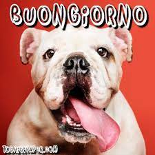 Buongiorno Nuove Immagini Gratis Per Facebook E Whatsapp Toghigi Paper Buongiorno Buongiorno Immagini Immagini