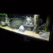 Click to see our best video content. 900 Gothic Ideas In 2021 Gothic House Gothic Goth Home Decor