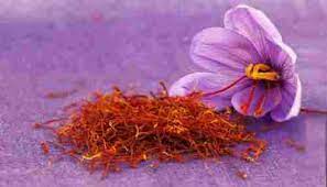 زعفران کےسیکڑوں جادوئی طبی فوائد Saffron Flower Saffron Spice Saffron