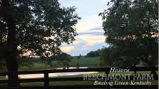 Historic Beechmont Farm Guest House - Cottages for Rent in Bowling ...