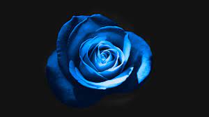 الشعر أرق الاحاسيس المعبرة عن الحب والتي تصل للقلوب سريعا حين تمسها بجمال كلماتها ومعانيها العميقة،هذه اجمل معاني الحب من شعر حب قصير جدا. ØµØ¨Ø§Ø­ Ø§Ù„Ø®ÙŠØ± Ø¹Ù„ÙŠÙƒÙ… Ù…Ù† ÙØ±ÙŠÙ‚ Ø¹Ù…Ù„ Ø¹ÙŠÙ† Ù„ÙŠØ¨ÙŠØ§ ØµØ¨Ø§Ø­ÙƒÙ… ÙˆØ±Ø¯ ÙˆÙÙ„ ÙˆÙŠØ§Ø³Ù…ÙŠÙ†