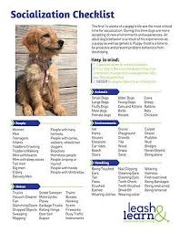 Puppy Socialization Checklist By Leash And Learn Service