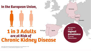 Problems related to specific kidney diseases in pregnancy. Chronic Kidney Disease A Global Crisis