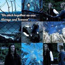What are some good quotes from the originals? Wdob Quotes The Originals Amino